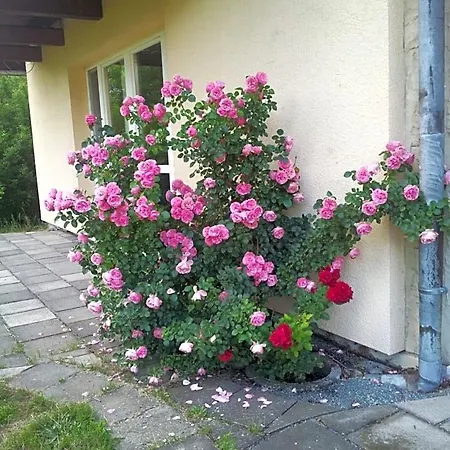 Am Spreeradweg Nocleg ze śniadaniem